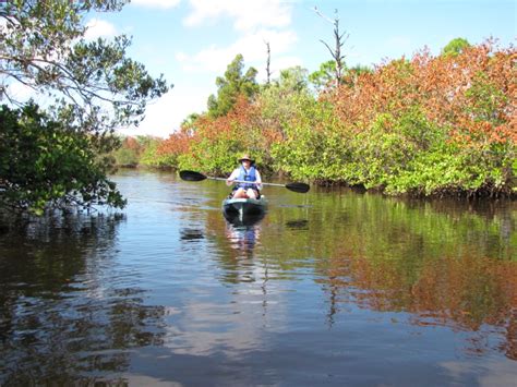 Florida Kayaking: Werner-Boyce Salt Springs State Park - WanderWisdom