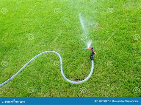 Sprinkler Watering in the Garden.on the Lawn Stock Image - Image of ...