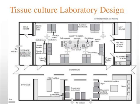 Animal cell culture techniques