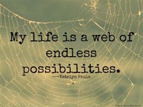 Spider Web Quotes - ShortQuotes.cc