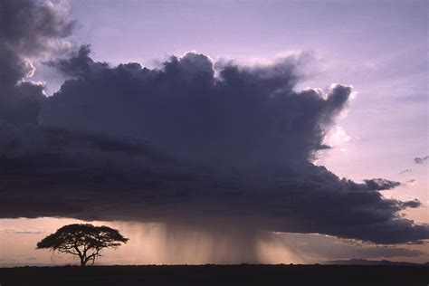 Rainstorm At Amboseli Photograph by Michele Burgess