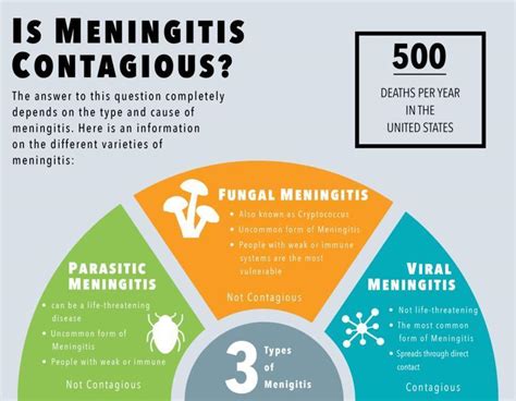 Is Meningitis Contagious? How long can Meningitis be Contagious?