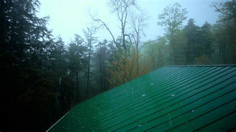 Rain On A Tin Roof In Forest ASMR Ambience | Sleep Instantly With Relaxing Rain On Metal Sounds ...