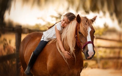 Download Depth Of Field Horse Little Girl Photography Child HD Wallpaper