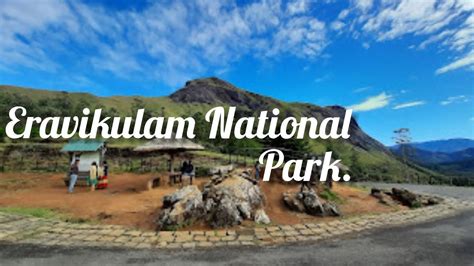 Eravikulam National Park. - YouTube