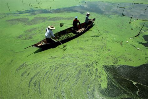 Researchers Find Nutrient Pollution in Canadian Freshwater Sources