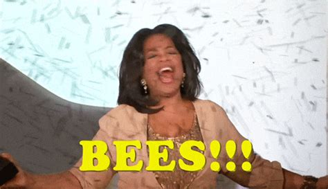 Bees GIF by Team Coco - Find & Share on GIPHY