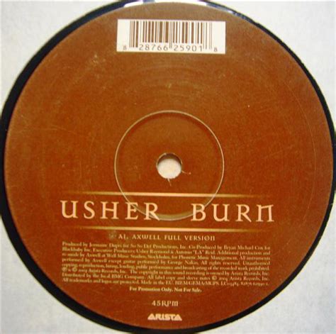 Usher - Burn (2004, Vinyl) | Discogs