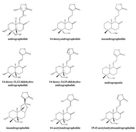 Different types of chemical compounds in Andrographis species and their ...