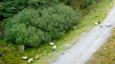 Norway | Fjords Norway is famous for its fjords, two of whic… | Flickr