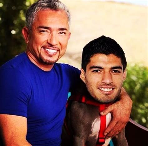 Luis Suarez World Cup 2014 | Cesar millan, Puppy training biting, Dog biting training