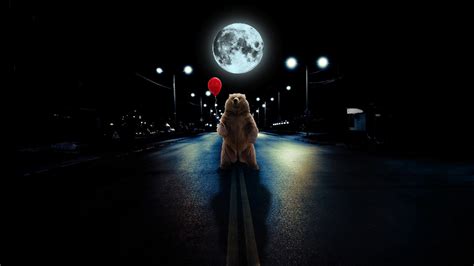 wallpaper bear, balloon, full moon, road, photoshop HD : Widescreen ...