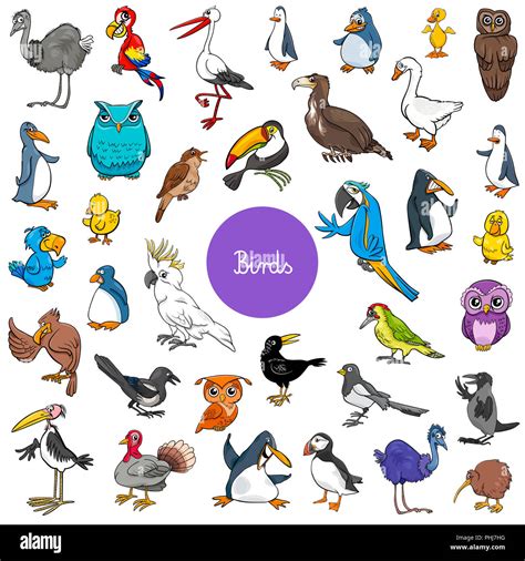 cartoon birds animal characters big set Stock Photo - Alamy