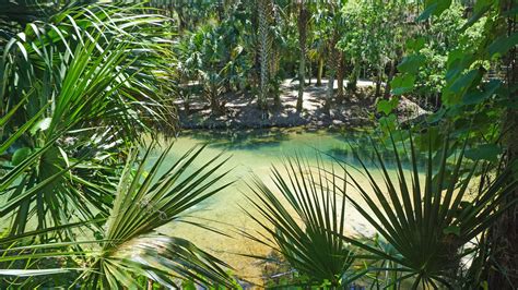 Map of Florida Springs | Florida Hikes