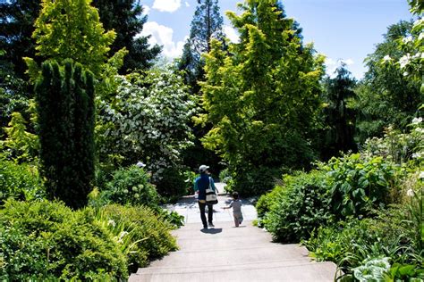 Bellevue Botanical Garden celebrates 25 years of amazing plants and ...