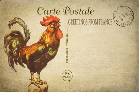 Rooster French Vintage Postcard Free Stock Photo - Public Domain Pictures