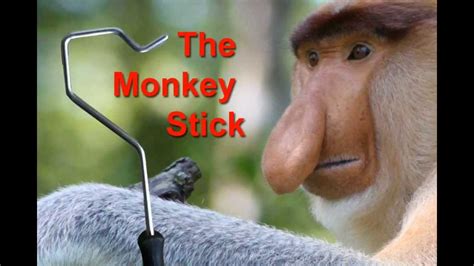 Monkey Stick Tarp Tool - YouTube