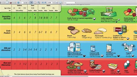 Canada Food Guide Printable Worksheets - Lexia's Blog