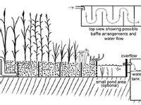 19 Reed bed design ideas | bed design, grey water system, grey water ...