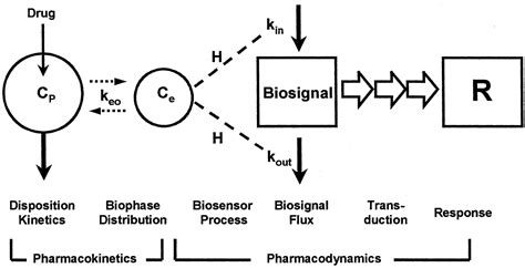 Diversity of Mechanism-Based Pharmacodynamic Models | Drug Metabolism & Disposition