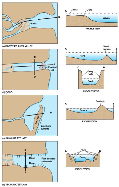 1: Classification of estuaries according to geomorphological struture ...