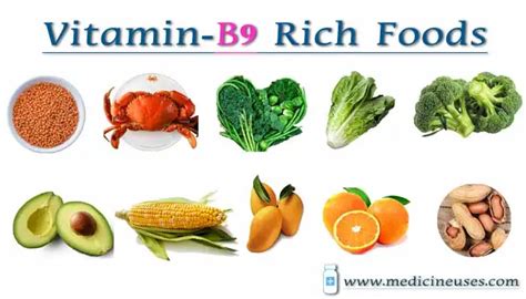 Top 10 Indian Foods Rich In Vitamin B9