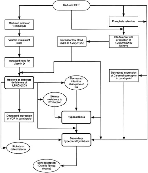 Pathophysiology of Hyperphosphatemia - Phosphate Control in Chronic ...