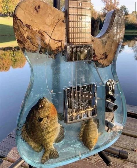 BASS Guitar : r/Davie504