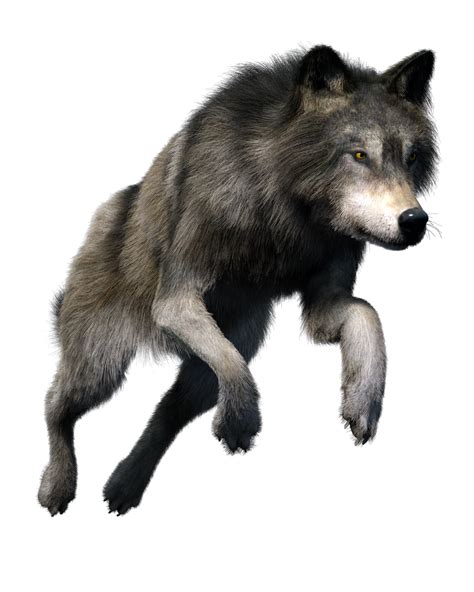 Wolves Png : Wolves Png Png Images Png Cliparts Free Download On Seekpng - Try to search more ...