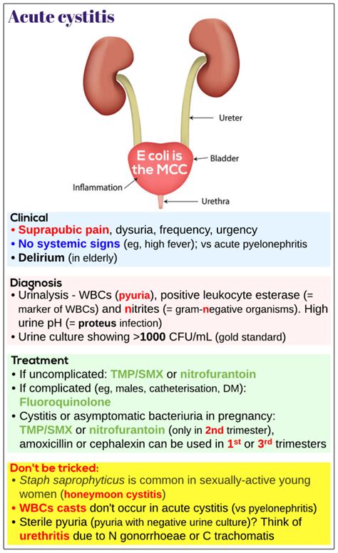 Acute cystitis - Medicine Keys for MRCPs