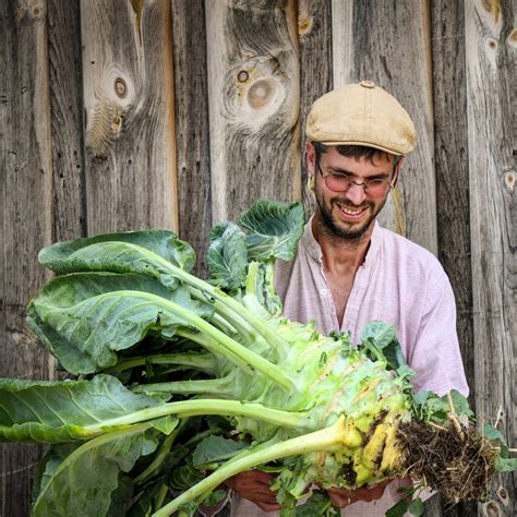 A Passion for Heirloom Vegetable Seeds — Food Garden Life: Edible ...