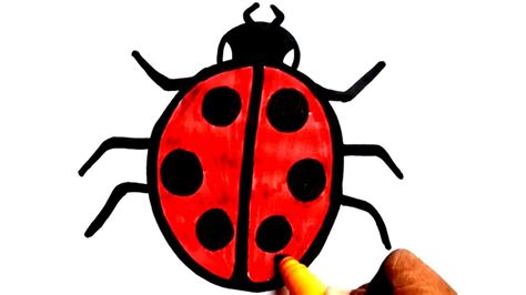 Lady Bug Drawing, Beetle Drawing, Bugs Drawing, Easy Drawings For Kids ...