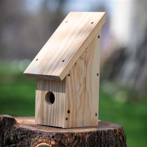 Wooden Birdhouse Kit – Mutual Adoration + POST