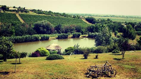 Blog - Top 6 Wineries to Visit in Moldova - Part 1 | Wine travel ...