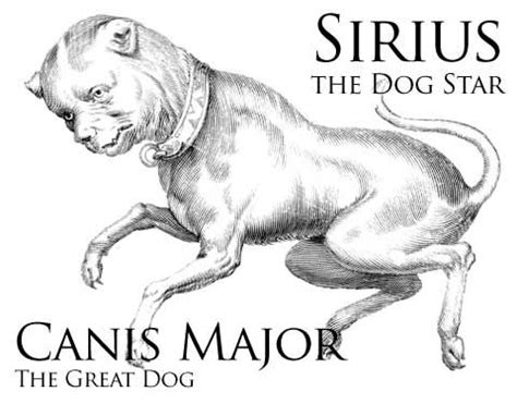 Sirius, the dog star. Ancient Astronomers saw all the great Symbols of ...