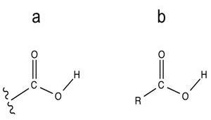 Carboxyl Group Structure & Examples | What is a Carboxyl Group ...