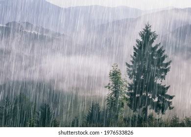 1,364,455 Raining Green Images, Stock Photos & Vectors | Shutterstock