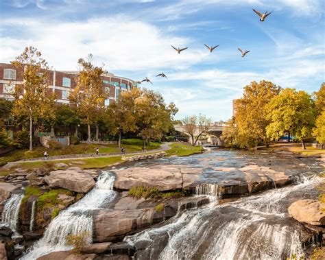 South Carolina Fall Foliage: A Nature Lover's Guide - Minneopa Orchards