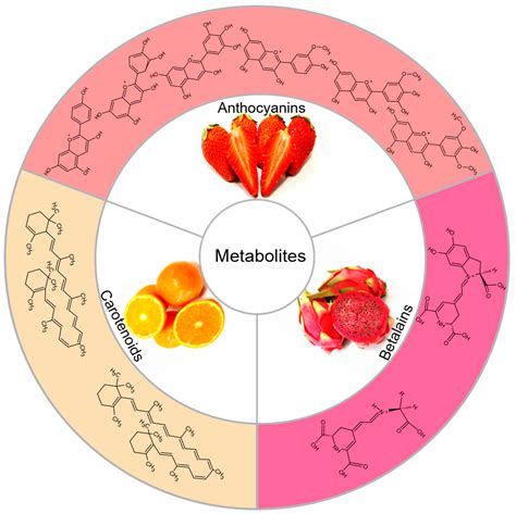 Metabolites | Free Full-Text | Regulation Mechanism of Plant Pigments ...