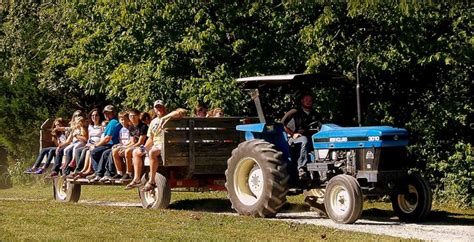 Activities and Attractions at Brookdale Farms | St. Louis, MO