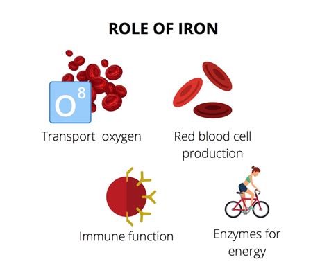 Iron for athletes: why, how much and where from?