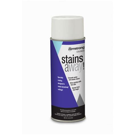 Armstrong Ceilings StainsAway Flat White Spray Paint and Primer In One (Actual Net Contents: 12 ...