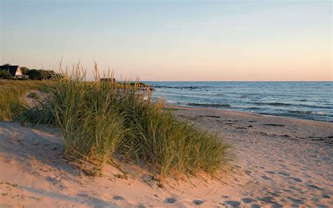 Best Sweden Beaches in Pictures // World Beach Guide