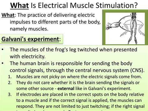 PPT - Electrical Muscle Stimulation PowerPoint Presentation, free download - ID:2601584