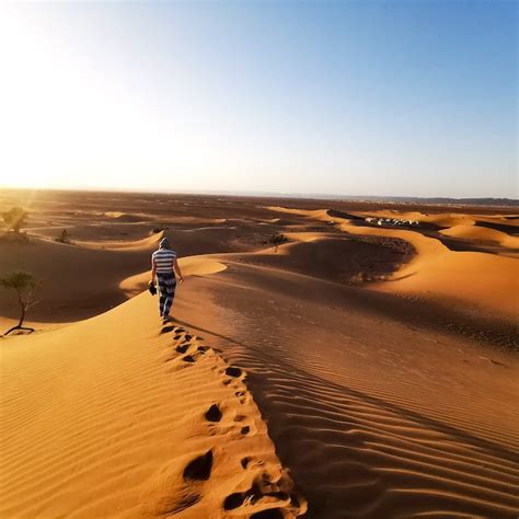 10 Facts About the Great Australian Desert - Discover Walks Blog