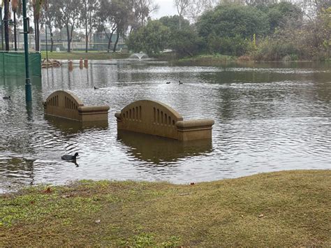 Yes, Polliwog Park Floods - And It's A Good Thing | Manhattan Beach CA - Manhattan Beach News ...