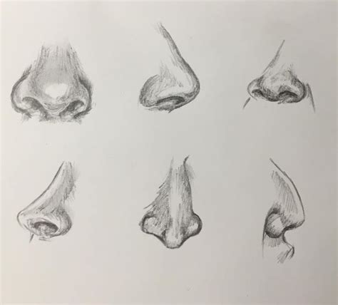 70+ Drawings Of Noses: Sketches, Studies & Sketchbook Examples