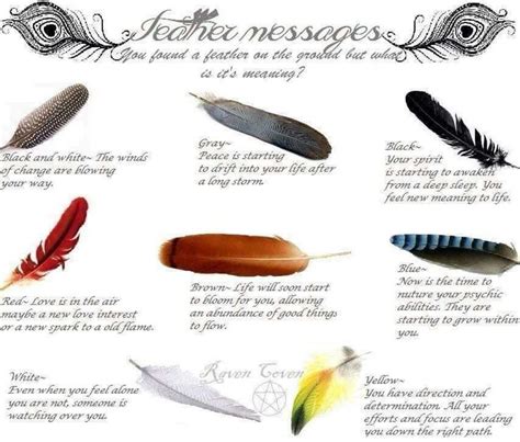 Best 25+ Feather color meaning ideas on Pinterest | Feather meaning ...