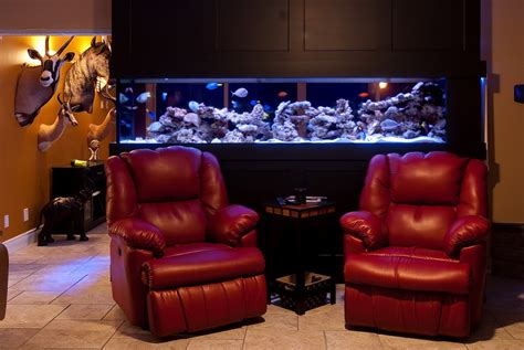 Custom Design & Installation – EverClear Aquarium Service