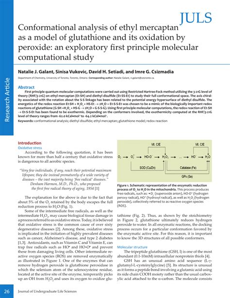 (PDF) Conformational analysis of ethyl mercaptan as a model of glutathione and its oxidation by ...